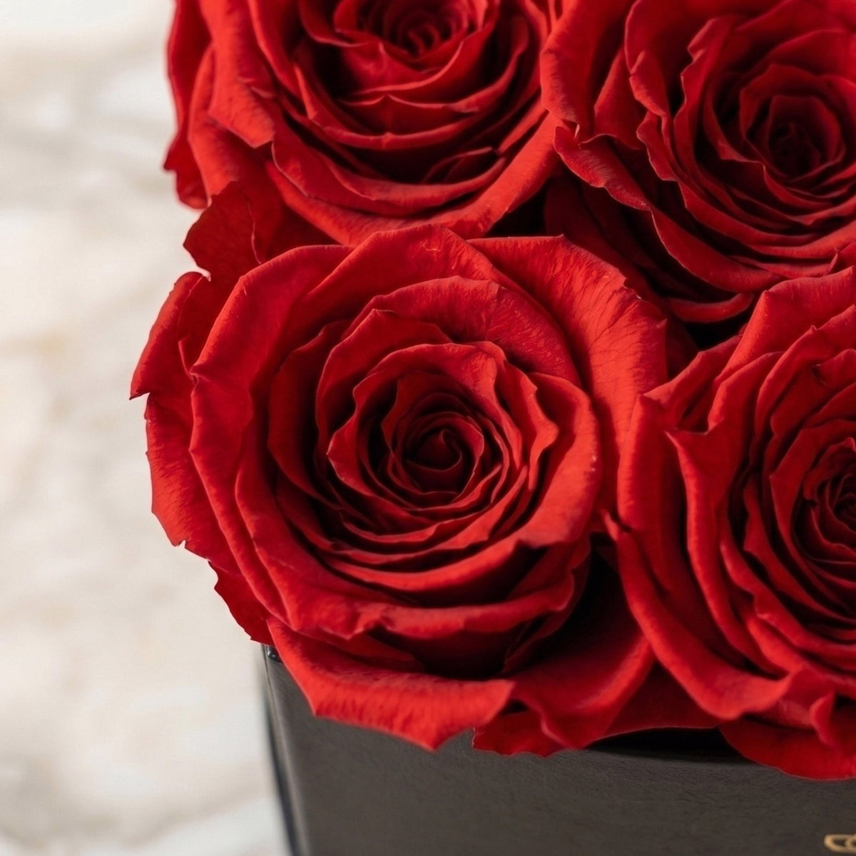 Baby Heart Black Gift Box | Red Roses, Romance Gift for Her