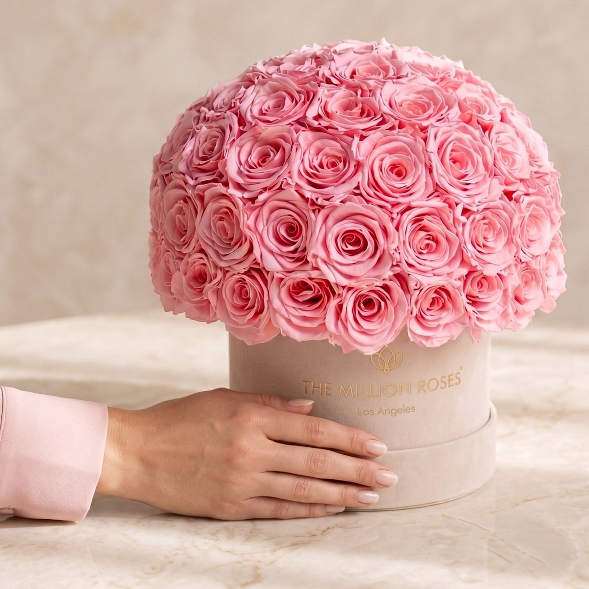 Classic Beige Suede Superdome Box | Light Pink Preserved “Forever” Roses- Sweetheart Gift for Her