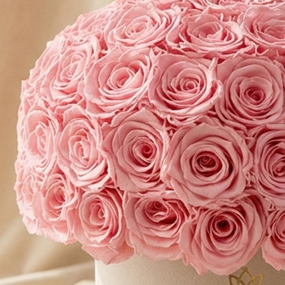 Classic Beige Suede Superdome Box | Light Pink Preserved “Forever” Roses- Sweetheart Gift for Her