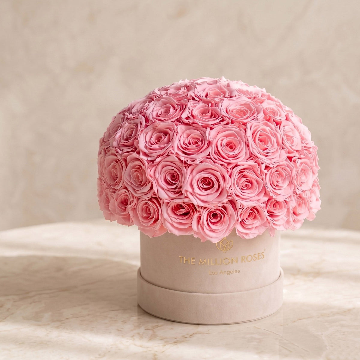 Classic Beige Suede Superdome Box | Light Pink Preserved “Forever” Roses- Sweetheart Gift for Her