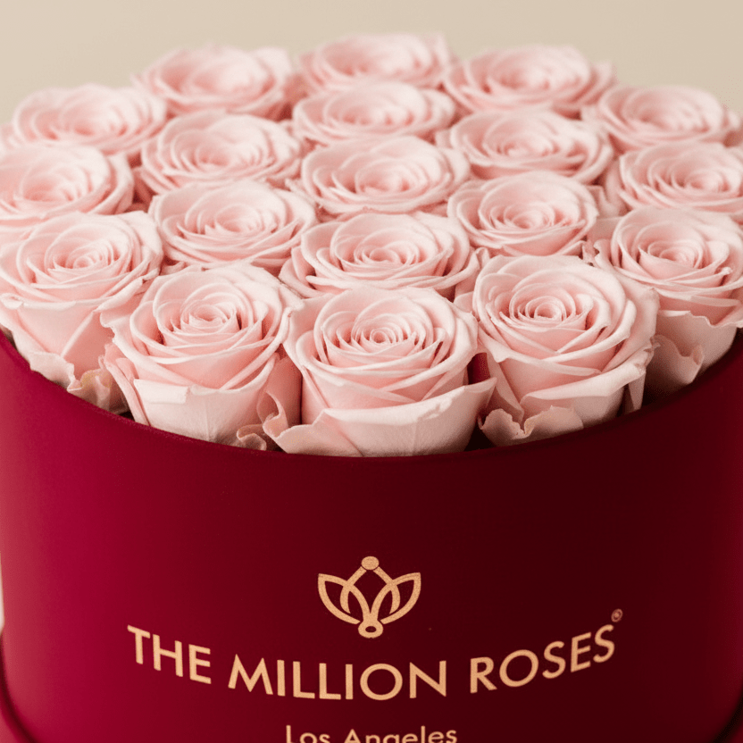 Eternal Blooms Classic Light Pink “Forever” Preserved Roses In Bordeaux Suede Gift Box
