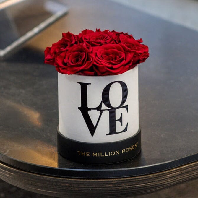 Essence Box Love Edition | 7 Preserved Red Roses | The Venus Paper Co.
