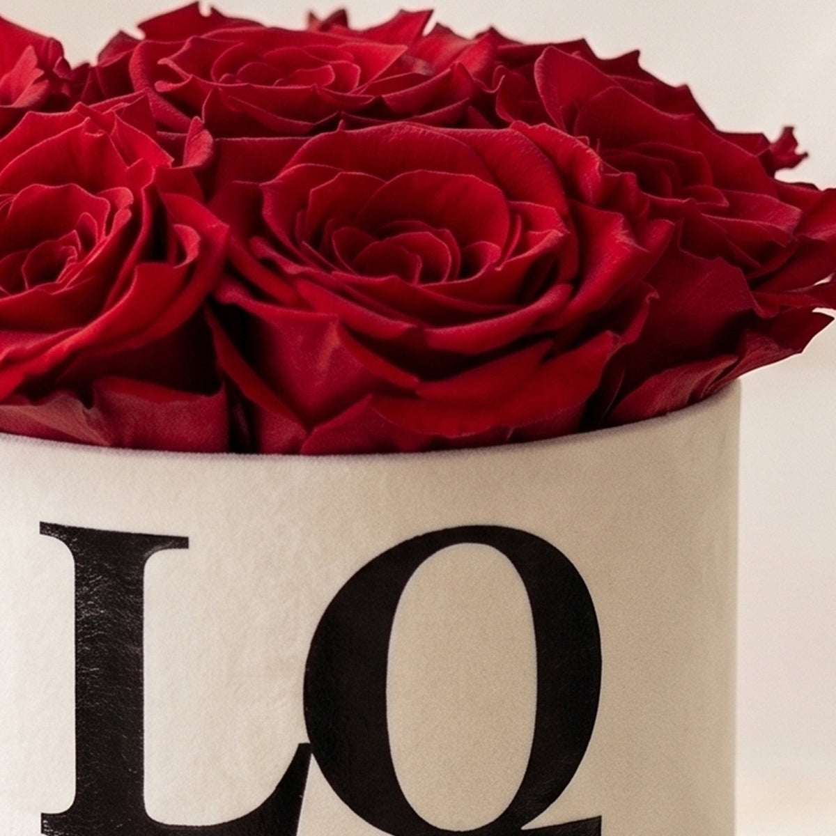 Essence Box Love Edition | 7 Preserved Red Roses | The Venus Paper Co.