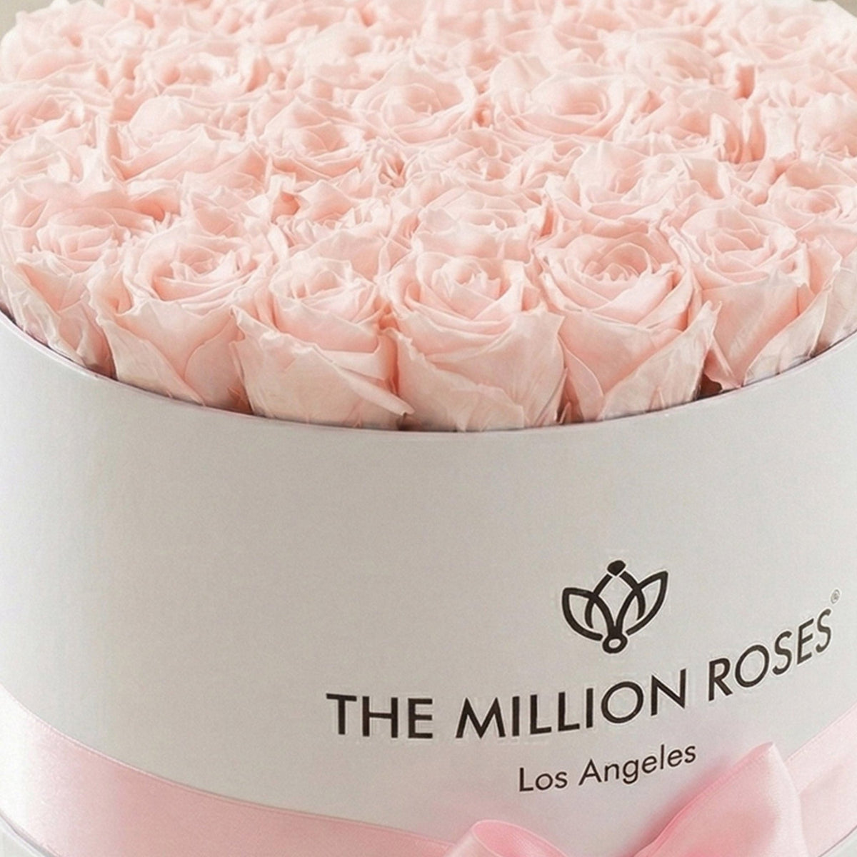 Supreme White Box Light Pink Preserved Roses- Best Gifts for Her